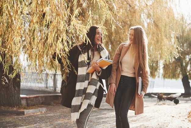 Entspannte Atmosphäre. Freundinnen machen einen Spaziergang durch den schönen Herbstpark