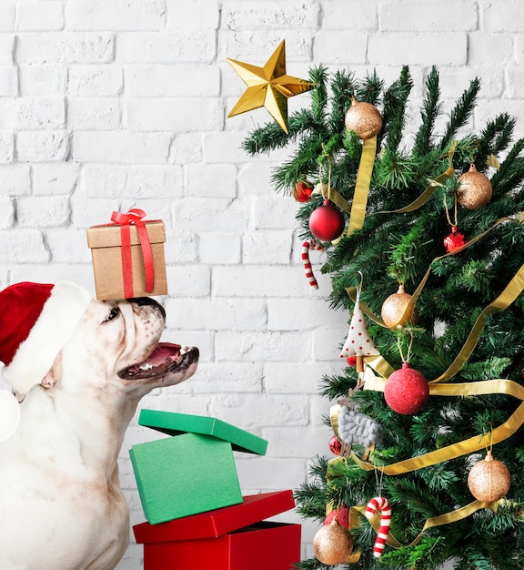 Entzückender Bulldoggewelpe, der nahe bei einem Weihnachtsbaum steht