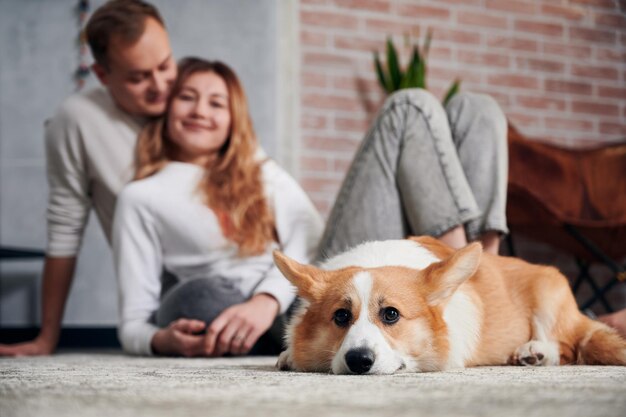 Entzückender Corgi-Hund, der mit liebevollen Besitzern auf dem Boden ruht