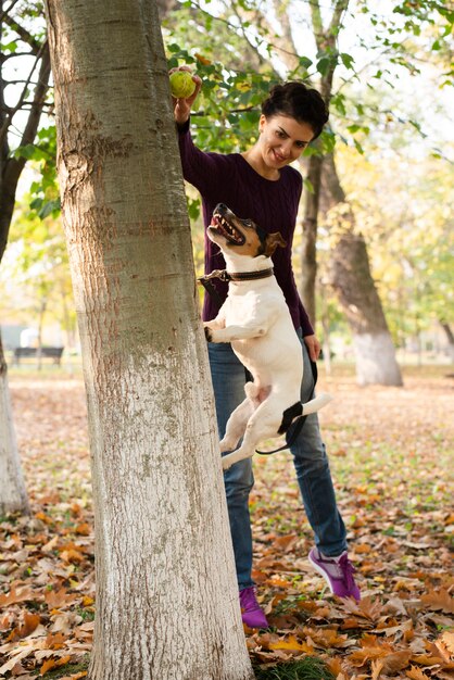 Entzückender Hund, der in den Park springt