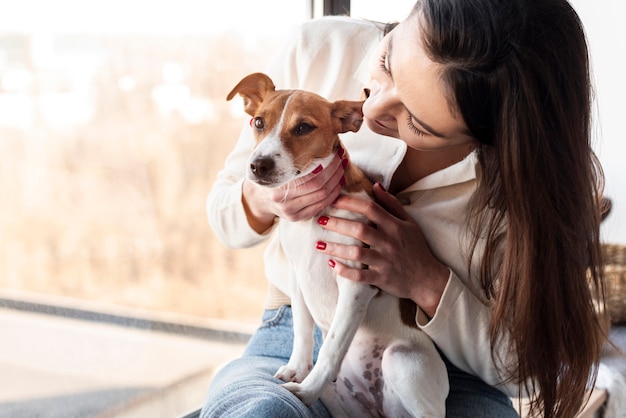 Entzückender Hund, der von der Besitzerin gehalten wird