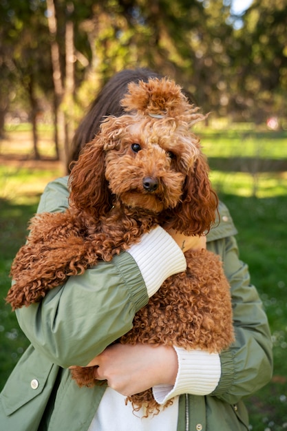 Kostenloses Foto entzückender hund im park in der natur mit besitzer