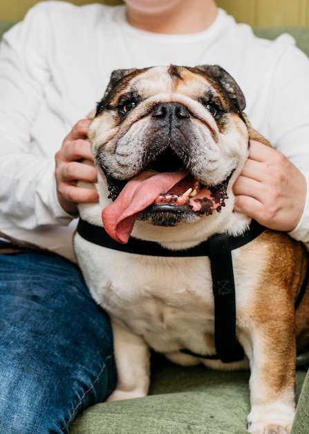 Entzückender kleiner Hund im Freien