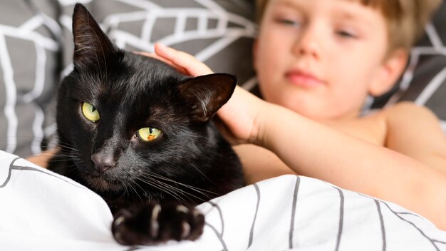 Entzückender kleiner Junge, der seine Katze streichelt