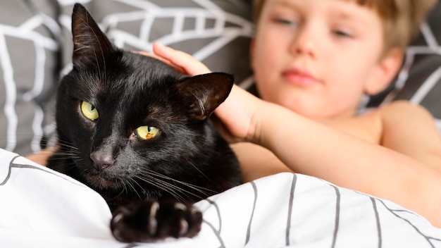 Entzückender kleiner Junge, der seine Katze streichelt