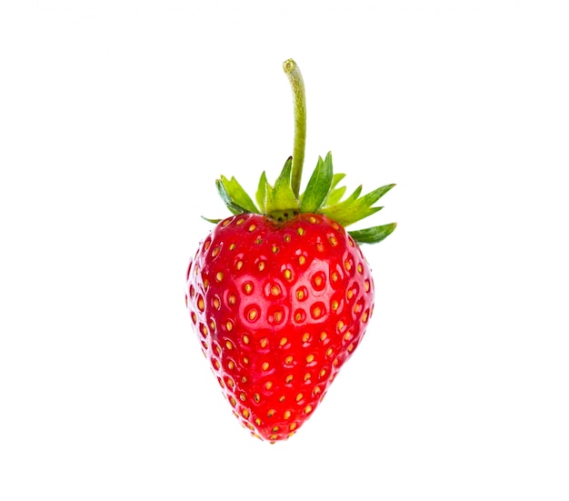 Erdbeere getrennt auf weißem Hintergrund