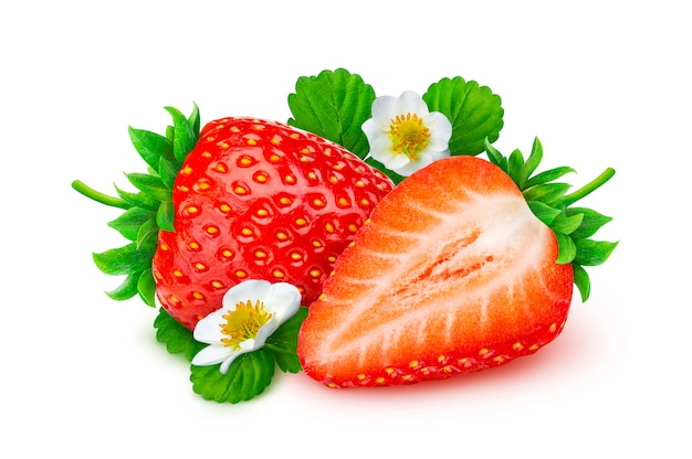Erdbeere isoliert. zwei erdbeeren mit blumen und blättern getrennt auf weißem hintergrund Premium Fotos