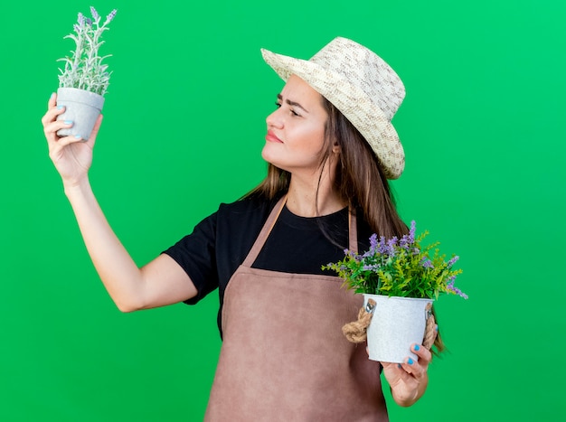 Erfreut schönes Gärtnermädchen in der Uniform, die Gartenhut trägt, der Blume im Blumentopf erhöht und auf grünem Hintergrund betrachtet betrachtet