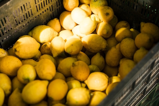 Erhöhte Ansicht der frischen saftigen Zitrone in der Kiste am Obstmarkt