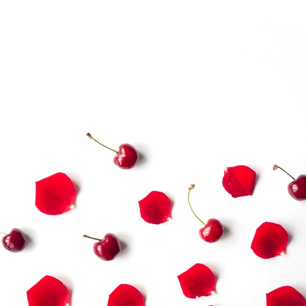 Erhöhte Ansicht der Kirsche und der rosafarbenen Blumenblätter über weißem Hintergrund