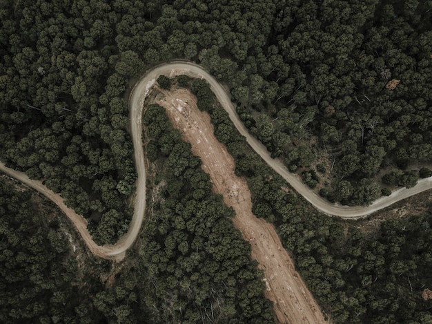 Erhöhte Ansicht der Straße umgeben durch Bäume im Wald