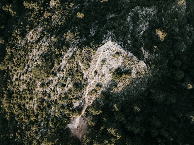 Erhöhte Ansicht von Bäumen auf felsigem Berg