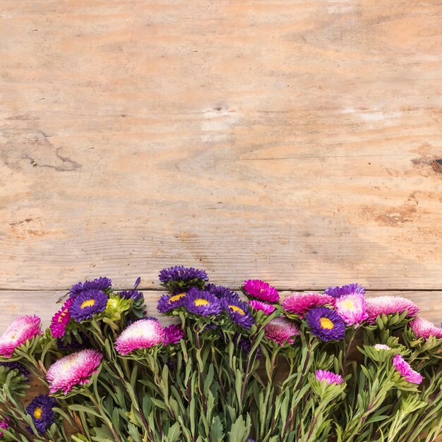 Erhöhte Ansicht von frischen Blumen am Rand des hölzernen Hintergrundes