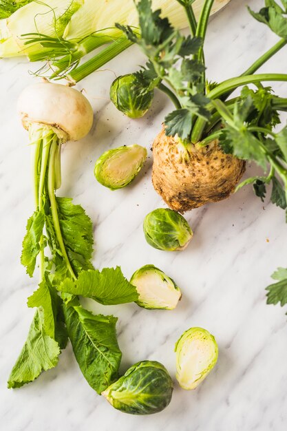 Erhöhte Ansicht von Sellerie; Rosenkohl; Rüben- und Florenz-Fenchel auf Marmorhintergrund