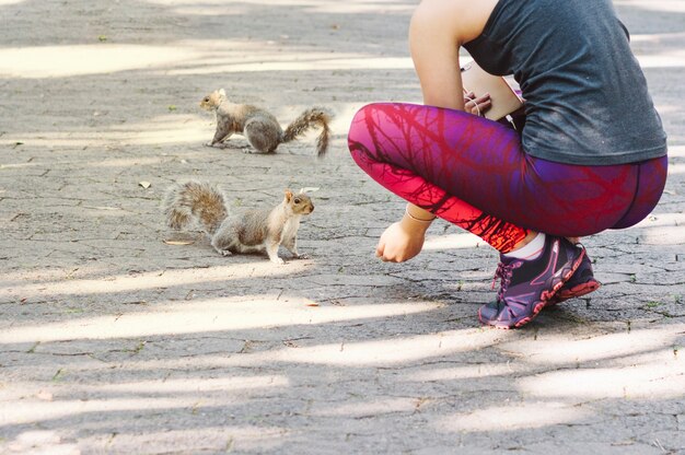 Ernähren Eichhörnchen der Frau