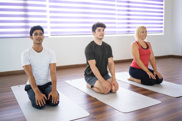 Ernste Anfänger, die in seiza sitzen, werfen auf Matten an der Yogaklasse auf