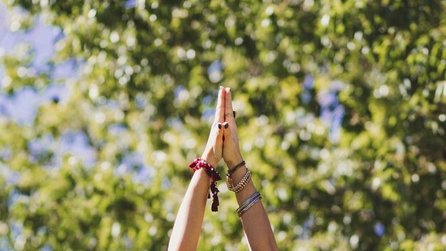 Ernten Sie die Hände der Frau Yoga tuend