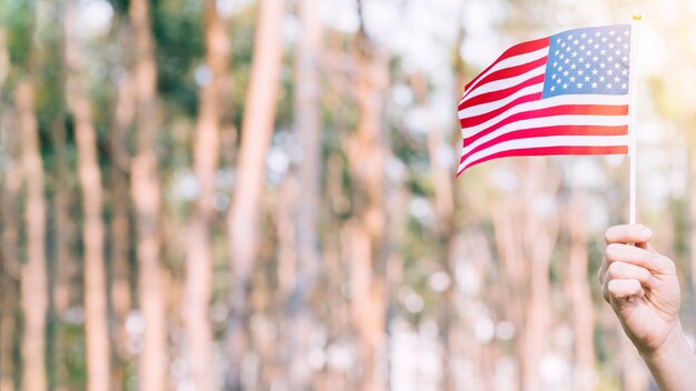 Ernten Sie die Hand, die amerikanische Flagge anhebt