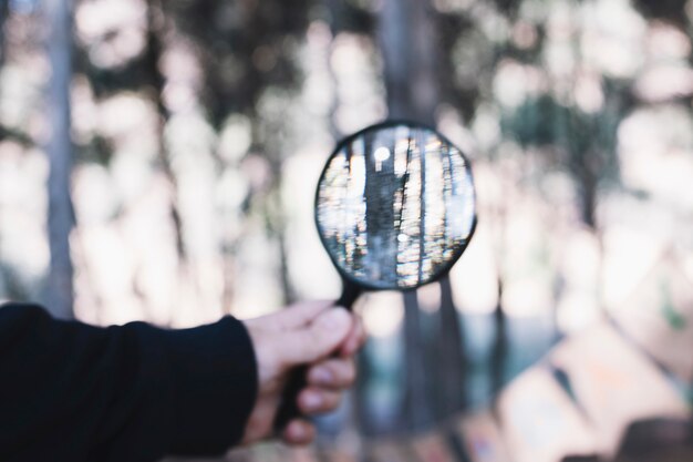 Ernten Sie die Hand, die Lupe im Wald hält