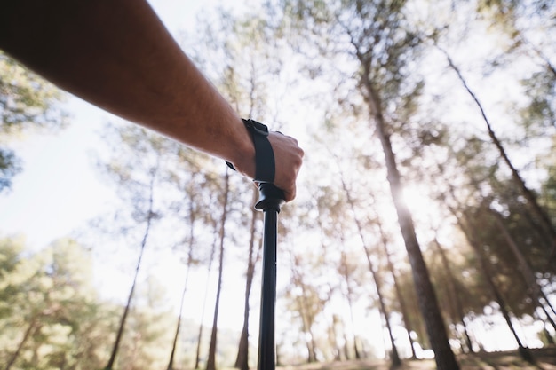 Kostenloses Foto ernten sie hand des mannes im wald