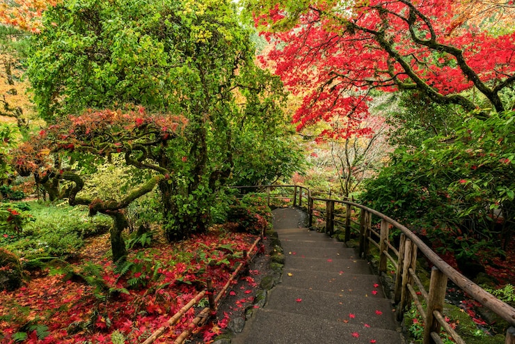 Kostenlose Foto erstaunliche aufnahme der wunderschönen butchart gardens in brentwood bay