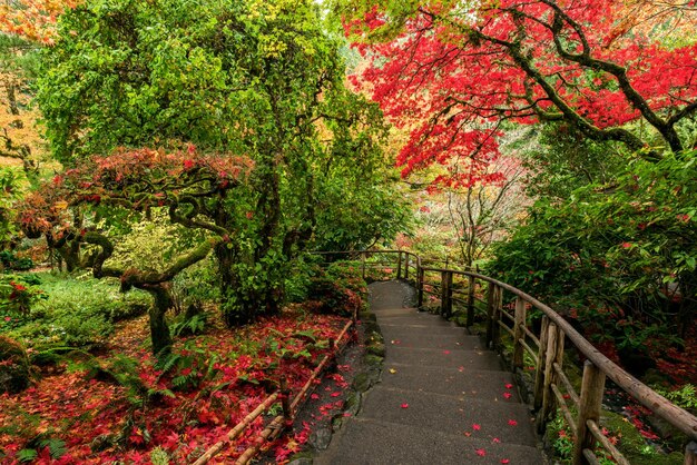 Erstaunliche Aufnahme der wunderschönen Butchart Gardens in Brentwood Bay