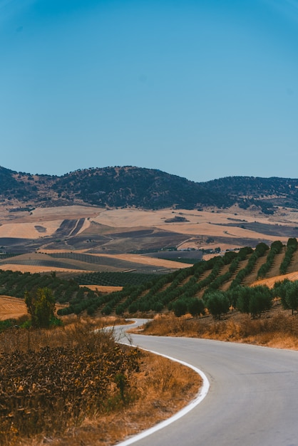 Erstaunliche Aufnahme einer Autobahn, umgeben von Pflanzen in Alentejo Portugal an einem heißen Tag