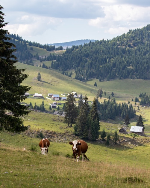 Erstaunliche Aufnahme eines kleinen Dorfes in einer erstaunlichen Berglandschaft in Siebenbürgen, Rumänien