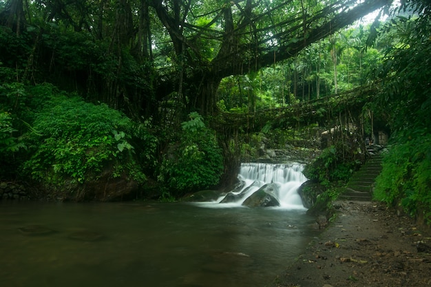 Erstaunliche Aufnahme eines kleinen Wasserfalls, umgeben von wunderschöner Natur