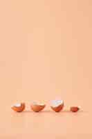 Kostenloses Foto erstaunliche aufnahme von eierschale isoliert auf orangem hintergrund