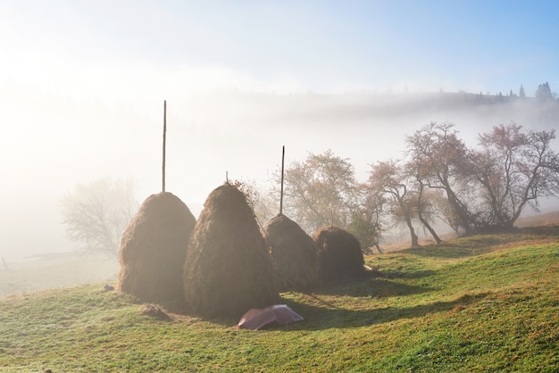 Erstaunliche Berglandschaft mit Nebel und Heuhaufen im Herbst