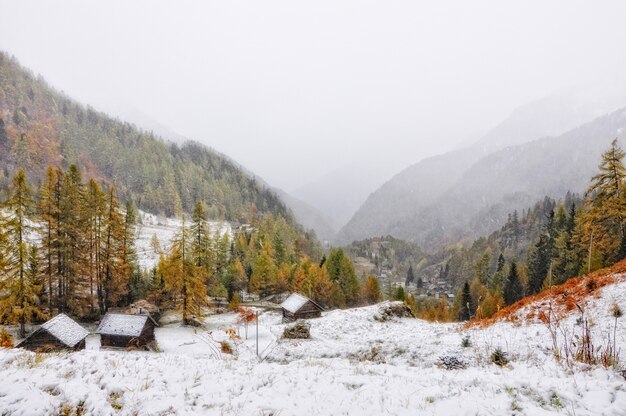 Erstaunliche neblige Szene des schneebedeckten Berges, der teilweise mit Wald bedeckt ist