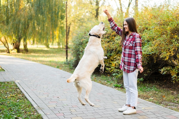 Erwachsene Frau, die mit ihrem Hund spielt