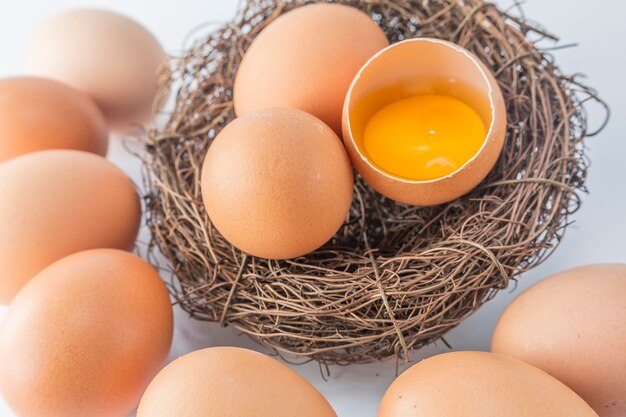 Essen natürliche niemand Protein Tier Eigelb