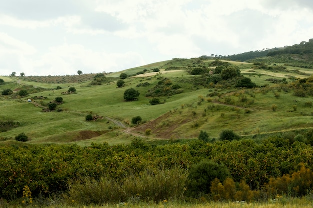 Extra lange Schuss friedliche Landschaft mit Bäumen