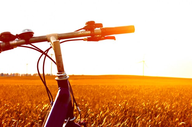 Fahrrad in einem Feld bei Sonnenuntergang