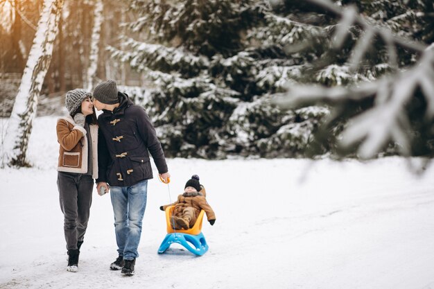 Familie auf einer Schlittenfahrt