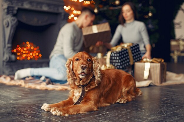 Familie mit niedlichem Hund zu Hause nahe Weihnachtsbaum