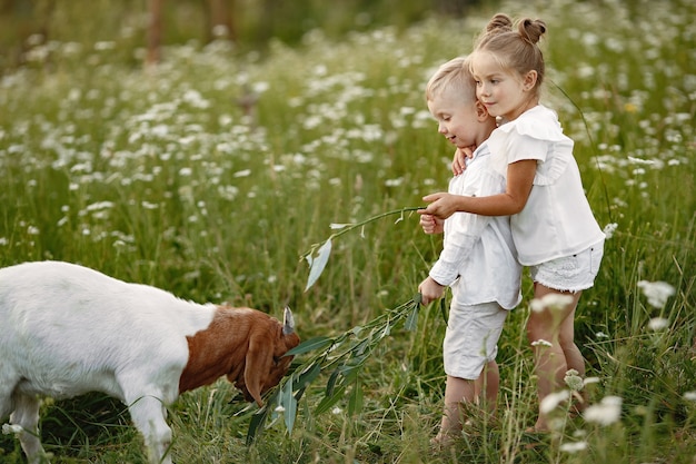 Familie verbringt Zeit im Urlaub im Dorf. Jungen und Mädchen spielen in der Natur.