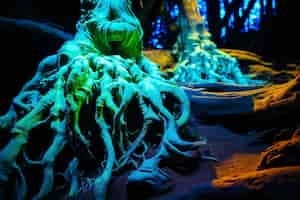Kostenloses Foto fantasie-meereslandschaft mit biolumineszierender natur