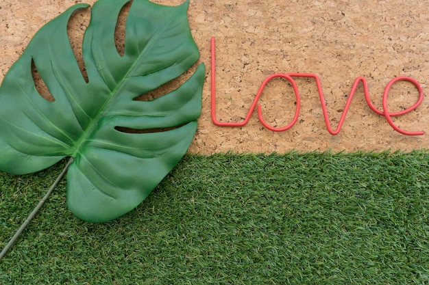 Fantastische Hintergrund mit Wort Liebe und grünes Blatt
