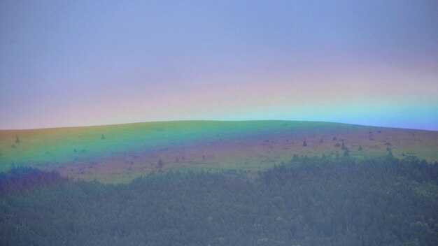 Farben des Regenbogens, der den Wald in den Hügeln bedeckt