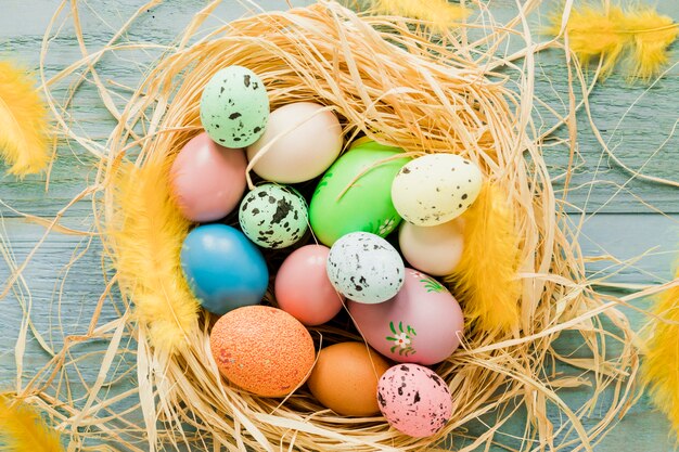 Farbige Eier im Nest