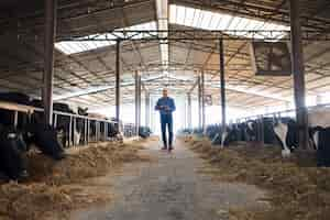 Kostenloses Foto farmer cattleman, der durch haustierfarm mit tablette geht und kühe beobachtet