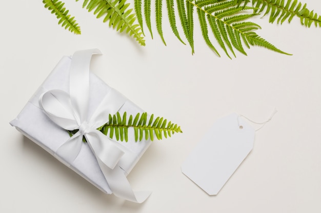 Kostenloses Foto farnblatt auf weißer geschenkbox mit aufkleber über normalem hintergrund