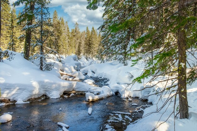 Faszinierende Aufnahme eines schönen schneebedeckten felsigen Parks um den Fluss