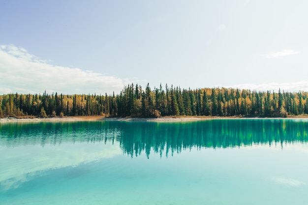 Faszinierender Blick auf den See mit Reflexion der Tannen, der Berge und des bewölkten Himmels