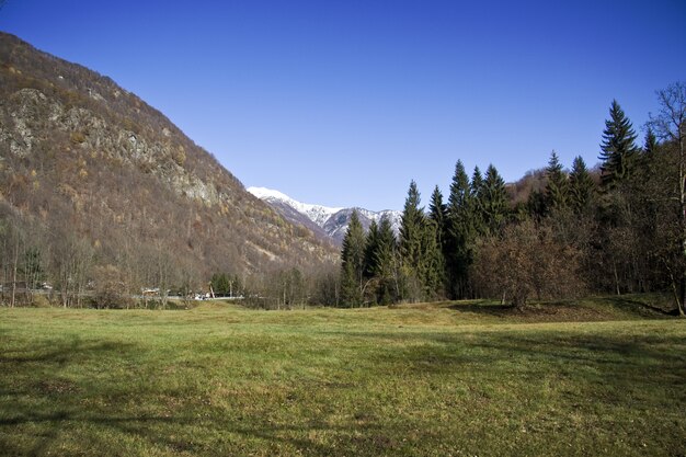 Feld bedeckt im Grünen, umgeben von Hügeln unter dem Sonnenlicht und einem blauen Himmel während des Tages