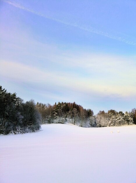 Feld bedeckt im Schnee, umgeben von Grün unter dem Sonnenlicht in Larvik in Norwegen