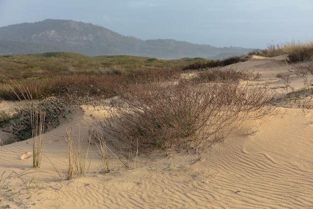 Feld bedeckt mit Grün und Sand, umgeben von Hügeln unter einem bewölkten Himmel